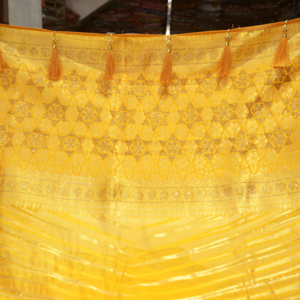 Organza silk saree